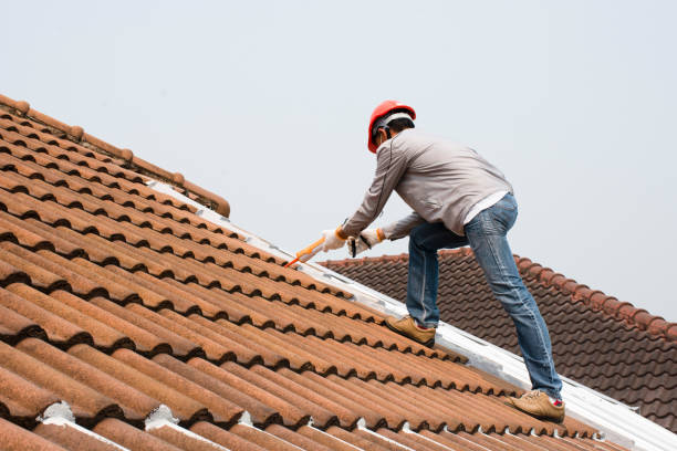 Best Solar Panel Roofing Installation  in Emmon, AK