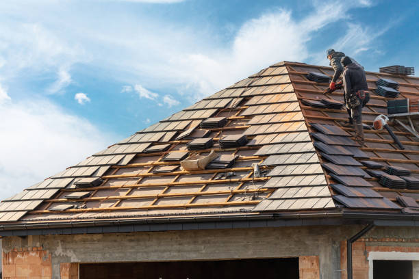 Best Skylight Installation and Repair  in Emmon, AK